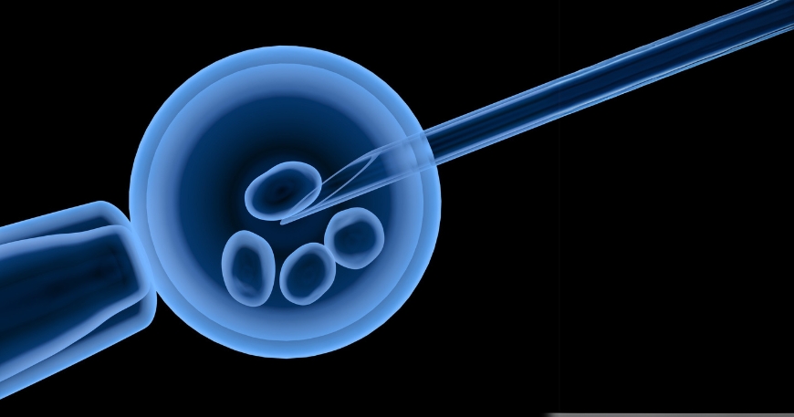 Understanding IVF Failures