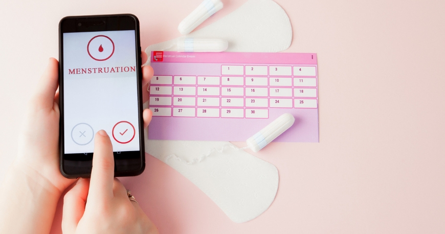 How Does an Ovulation Calculator Work?