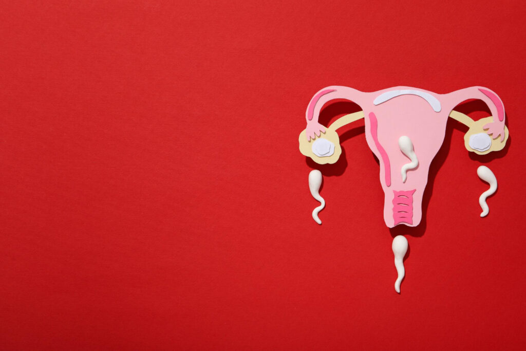 IUI vs IVF