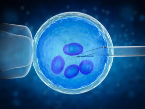 IUI vs IVF