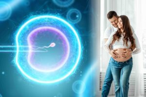How Should We Choose a Fertility Center?