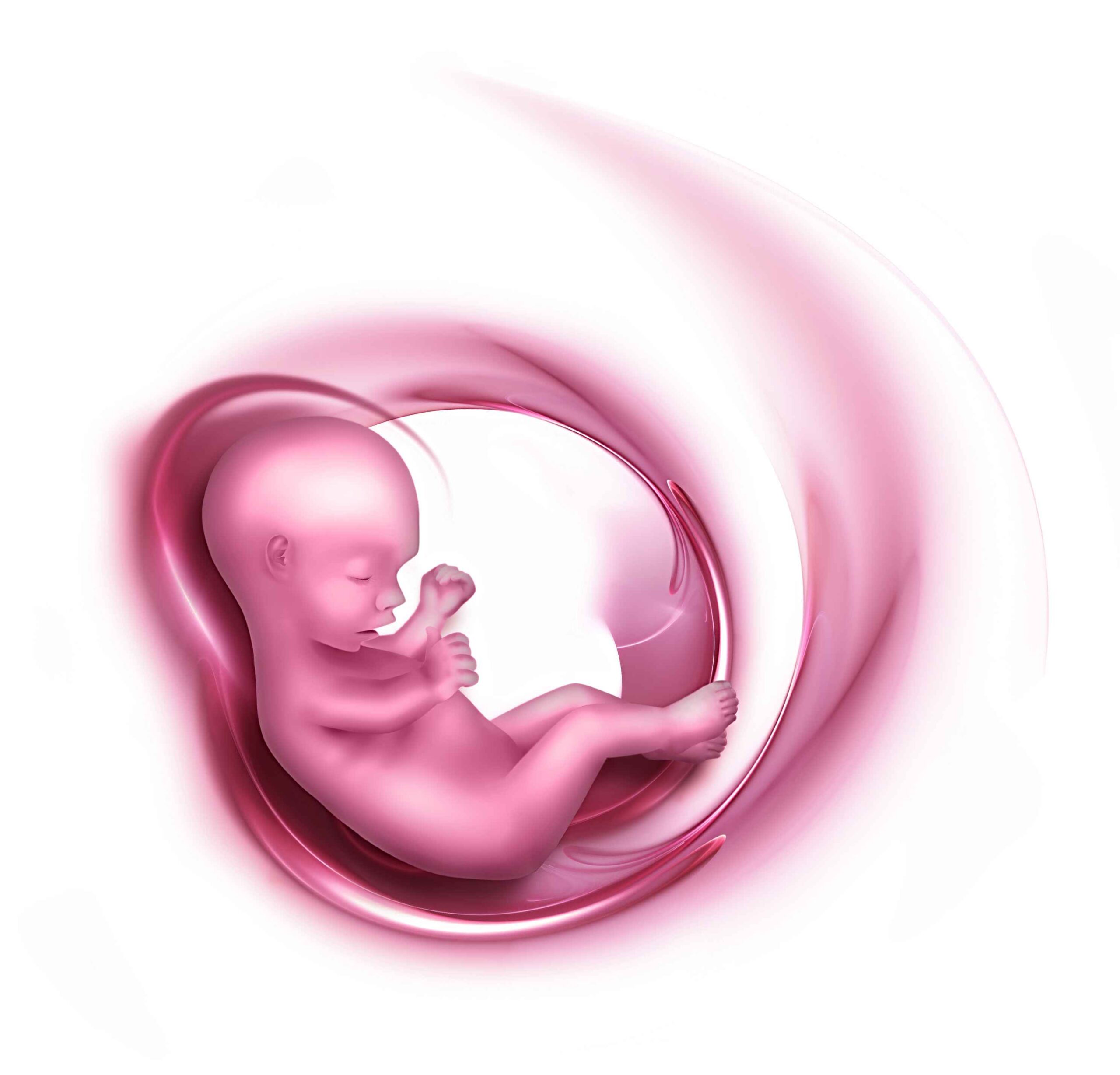 Understand the 4 stages of embryonic development in IVF—how blastocyst growth, cell division, and implantation affect your pregnancy success
