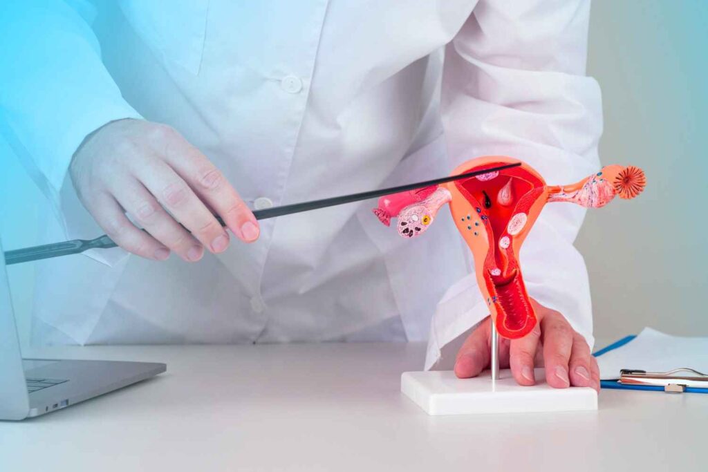Blocked Fallopian Tube: Symptoms, Causes, and Effective Treatment Options