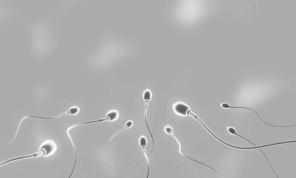 How Long Does Sperm Live Inside a Woman?