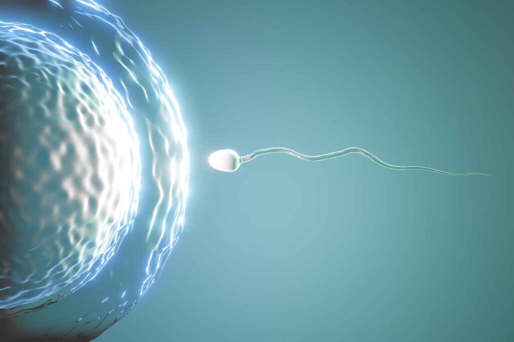 The Ultimate Guide to IVF in Hyderabad