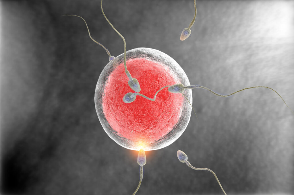 Earliest Positive Pregnancy Test After IUI
