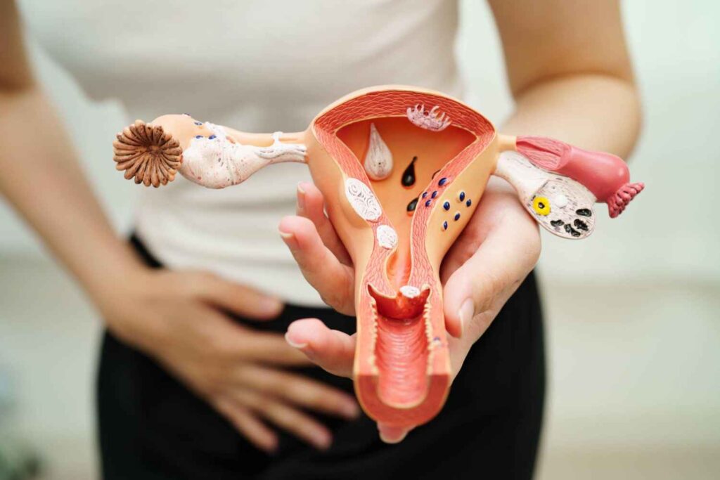 Endometrial Thickness