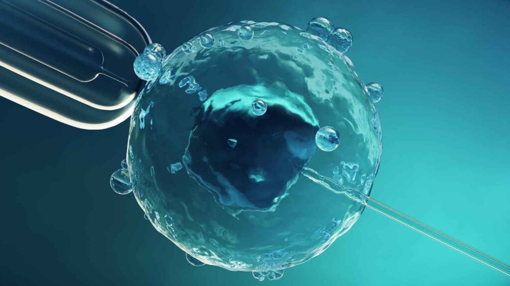 cryopreservation in IVF