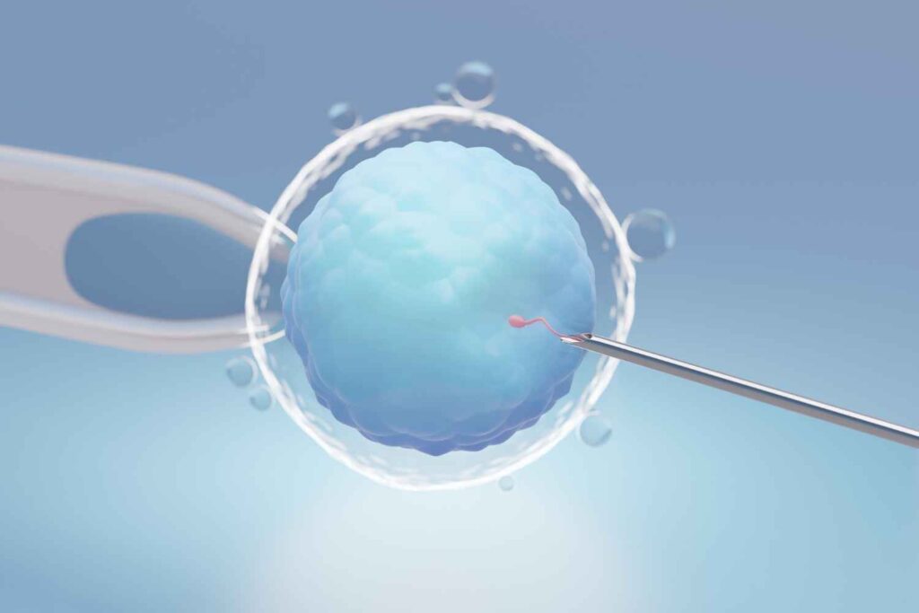 cryopreservation in IVF