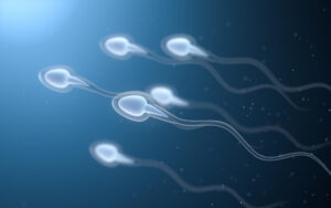 Watery vs Thick Sperm: