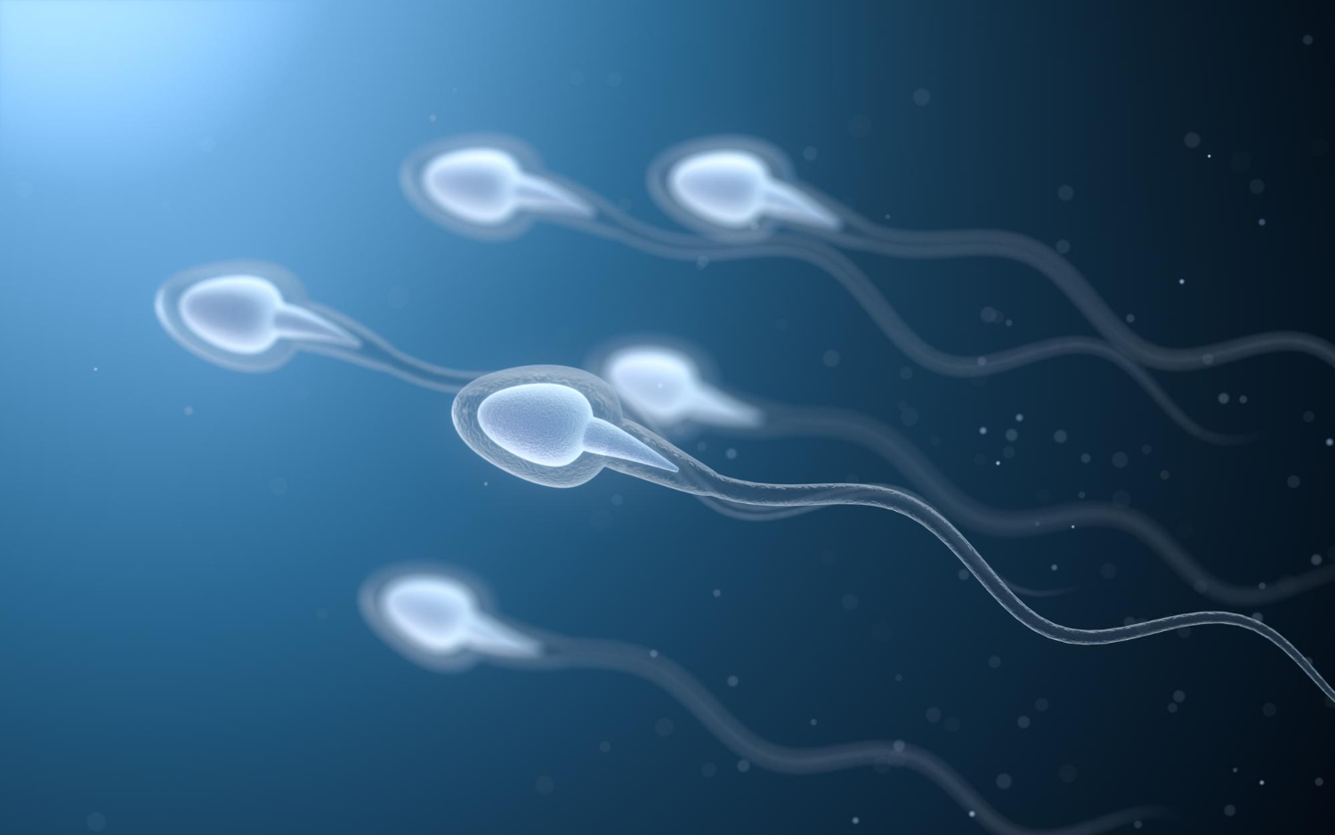 Watery vs Thick Sperm:
